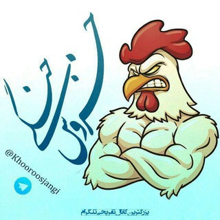 🐓 خروس جنگی, telegram channel