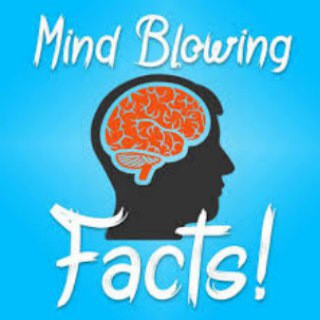 Mind Blowing Facts, telegram channel