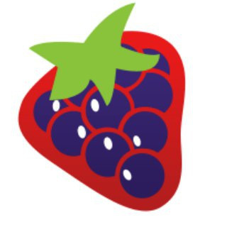 Strape, telegram group