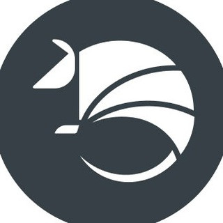 BROXUS NEWS, telegram channel