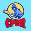 Cricket Predictions By Robin