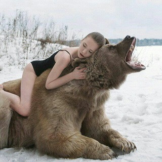 Meanwhile in Russia, telegram channel