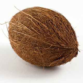 CoolCoconut Tips, telegram channel
