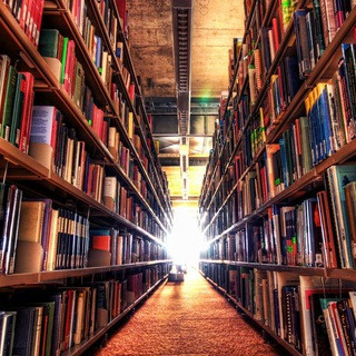 DailyBook, telegram channel