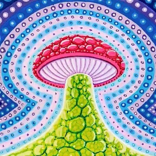 Radio Hallucinogen: primetime marginal’s, telegram channel