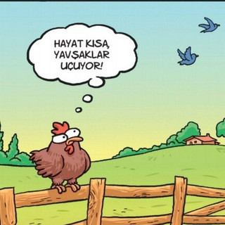 Katurkatur, telegram channel