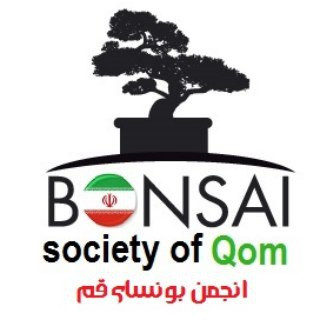 کانال انجمن بونسای قم, telegram channel