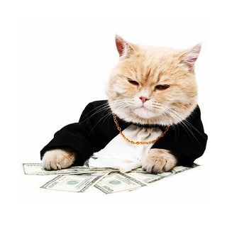 Döviz Kurları, telegram channel