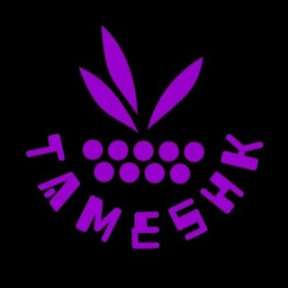 گروه گردشگری تمشک, telegram channel