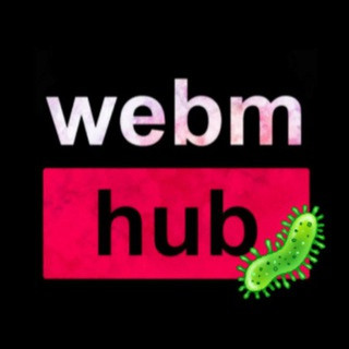 WebmHub ❤️ - тупо видосы каждые 10 минут, telegram channel