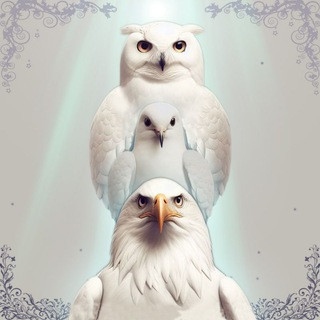تغییر باورها_بیداری معنوی, telegram channel