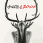 Angels & Demons