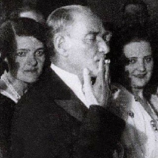 Daldan Düşenler, telegram group