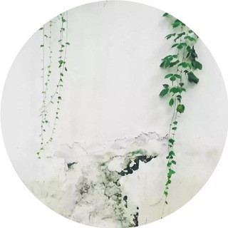 读书分享, telegram channel