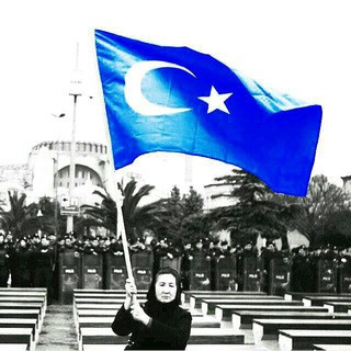 Luci'den Yazıtlar, telegram channel