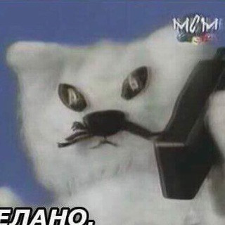 TikTok o'Clock ⏰, telegram channel