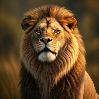 HD Wallpapers Duvar Kağıtları, telegram channel