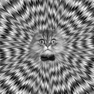 Illusion of deception, telegram channel