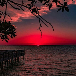 Whatsapp Status, telegram channel