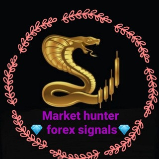 Forex exchange informations, telegram group