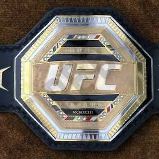 UFC252, telegram group