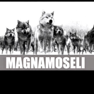 Magnamoseli, telegram group
