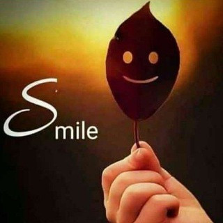 whatsapp status lottery ️khelo or jito, telegram channel