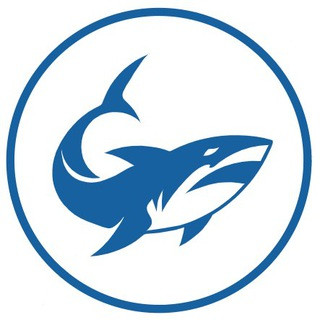 Bounty Shark, telegram channel