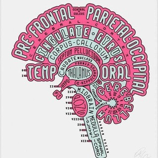 Neuroscience, telegram channel