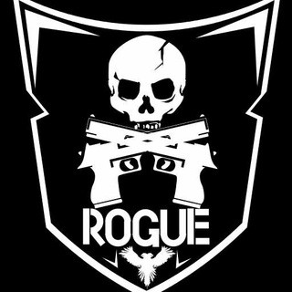 Rogue Company Italia, telegram group