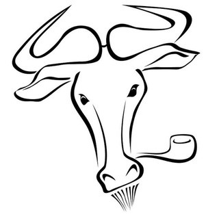 Özgür Grafikerler, telegram group