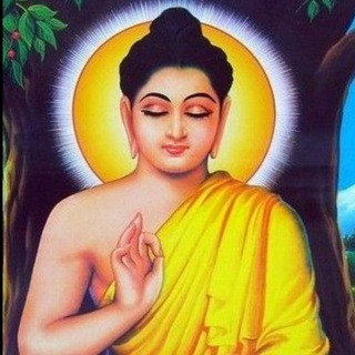 Budda, telegram channel