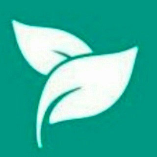 CINO REAL GAMING, telegram group