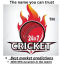 Cricket 24/7 Live line