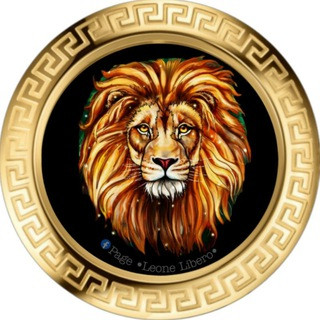 oLeone Liberoo | Music , telegram channel