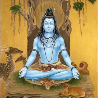Mahadev wallpaper and video, telegram channel