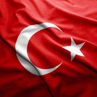 DipnotWEB, telegram channel