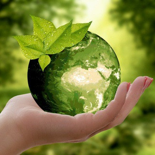 Ecologia news, telegram channel