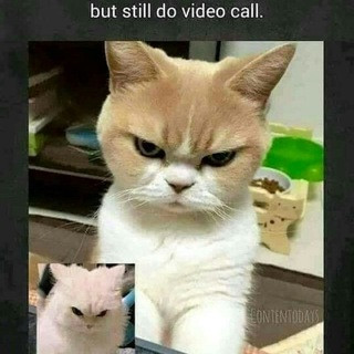 Global Friendship, telegram group