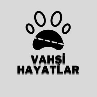 Vahşi Hayatlar, telegram channel