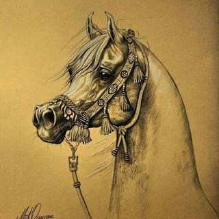 خرید و فروش اسب, telegram channel
