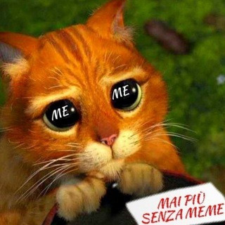 Mai più senza Meme, telegram channel