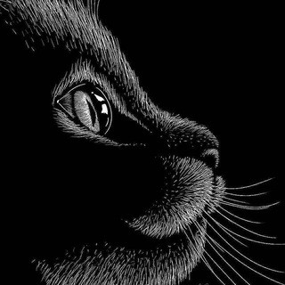 Bellas Mascotas, telegram channel