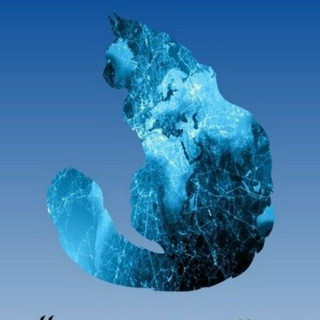 SAYISAL SORU ÇÖZÜM GRUBU 🧬, telegram group
