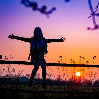 Lebe Liebe Lache, telegram channel