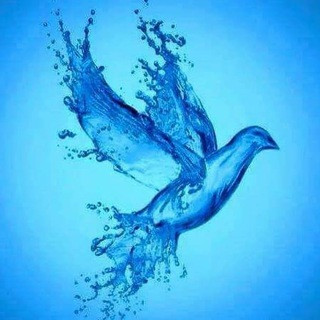 Résistance. L'essentiel de l'information., telegram channel