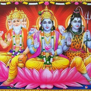 भारतीय सनातन संस्कृति समाज फाउंडेशन, telegram group