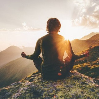 Gesundheit für Körper Geist und Seele, telegram channel