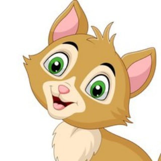 Catsforyou, telegram channel