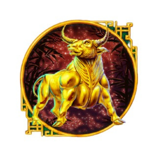 Triumph Trading Bull, telegram channel